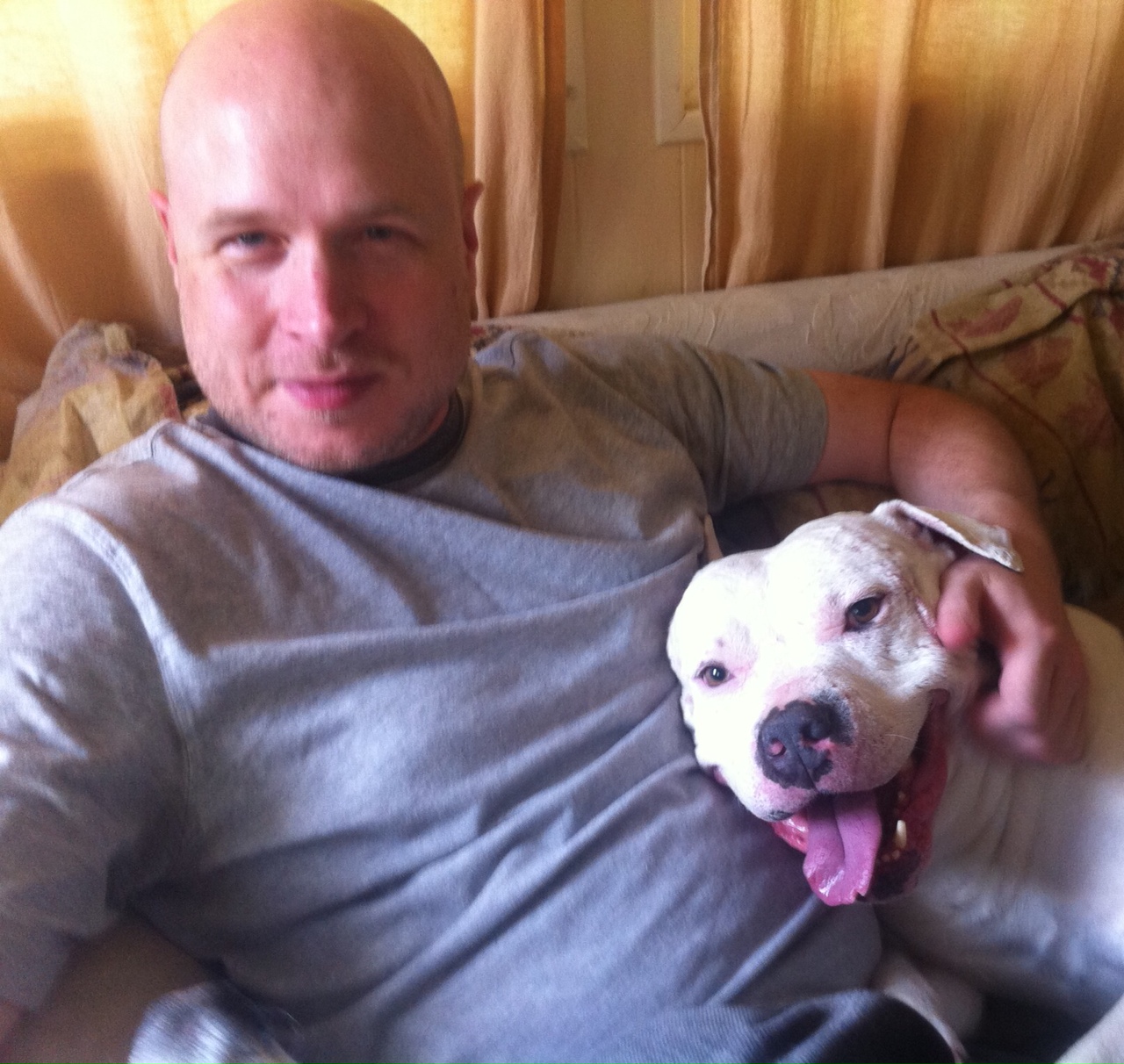 Vets For Less Low cost veterinary services in the Seattle & area